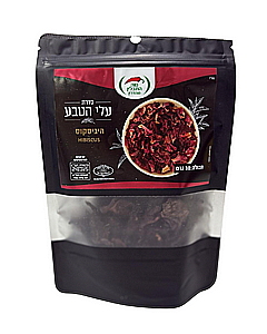 היביסקוס סדרת עלי הטבע היביסקוס סדרת עלי הטבע